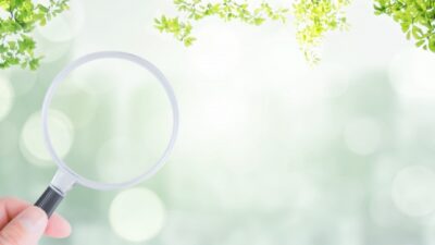 お子様の成長をサポートする検査！WISC-ⅤとVineland-Ⅱ のご紹介